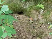 AUG 21ST CELLAR HOLES WITH FRANK 013 [].webp
