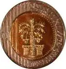 israeli palm.webp