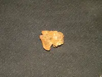 DSCN0377.webp