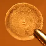 NC FINDS 8-15 013.webp