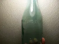 AUG 21ST CELLAR HOLES WITH FRANK 018 [].webp
