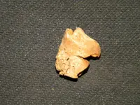 DSCN0376.webp
