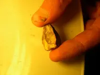 DSCN0378.webp