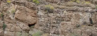 facewallsm.webp