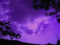 pretty in purple.webp