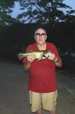 nineteen inch  three and a half pounds.webp