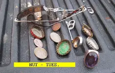 727NUT.webp