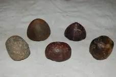Cones and Loafstones (16).webp