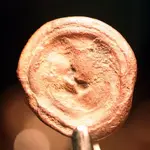 NC FINDS 8-30 002.webp