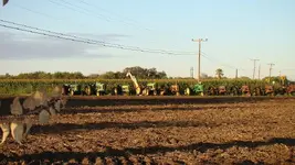 DSC00076.webp