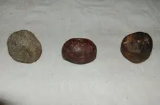 Cones and Loafstones (1).webp