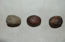 Cones and Loafstones (2).webp