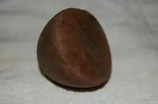 Cones and Loafstones (15).webp