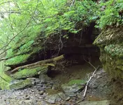 rsz_dsc00729.webp