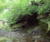 rsz_dsc00730.webp
