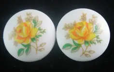 lucite earrings.webp