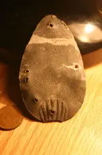LEAD SCALLOP 001.webp