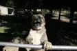 avatar_46819.webp