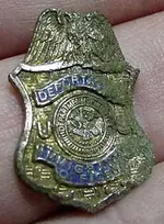 DOJ-Pin2.webp