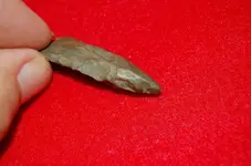Drills (1).webp