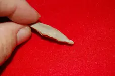 Drills (3).webp