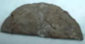 DSCF0148.webp
