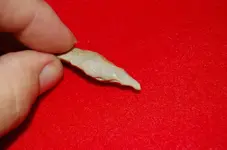Drills (4).webp