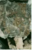 avatar_30238.webp