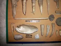 Schisler Site (10).webp