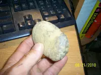 100_0784.webp