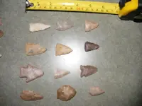 DSCF1383.webp
