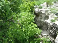 IMG_1694.webp