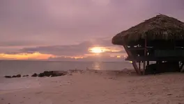 aruba 061.webp