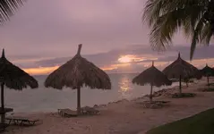 aruba 059.webp