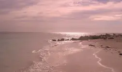 aruba 037.webp