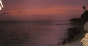 aruba 053.webp
