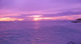 aruba 062.webp