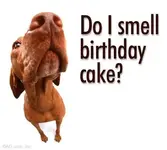 1189842803_bday004.webp