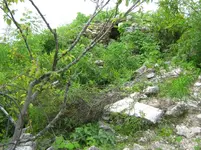 IMG_1709.webp