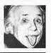 avatar_21581.webp