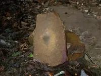 100_3050.webp