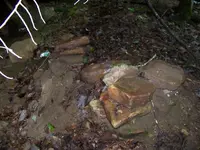 100_3056.webp