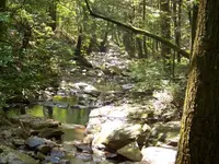 100_3060.webp