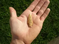P8221999_resize.webp