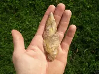 P8221996_resize.webp