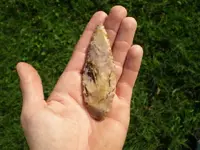 P8221997_resize.webp