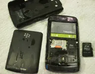 822BERRY.webp