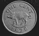 Bermuda-1-cent-Wild-boar-19.webp