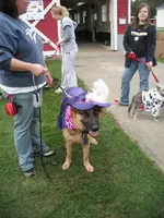 DSCF0657.webp