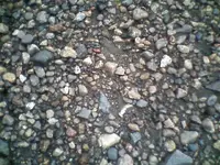 !cid__0718100934.webp
